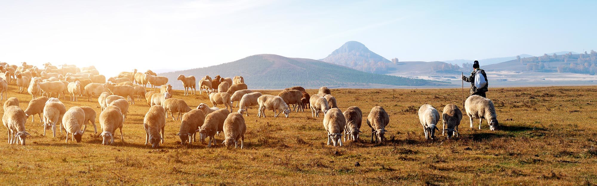 Mongolia