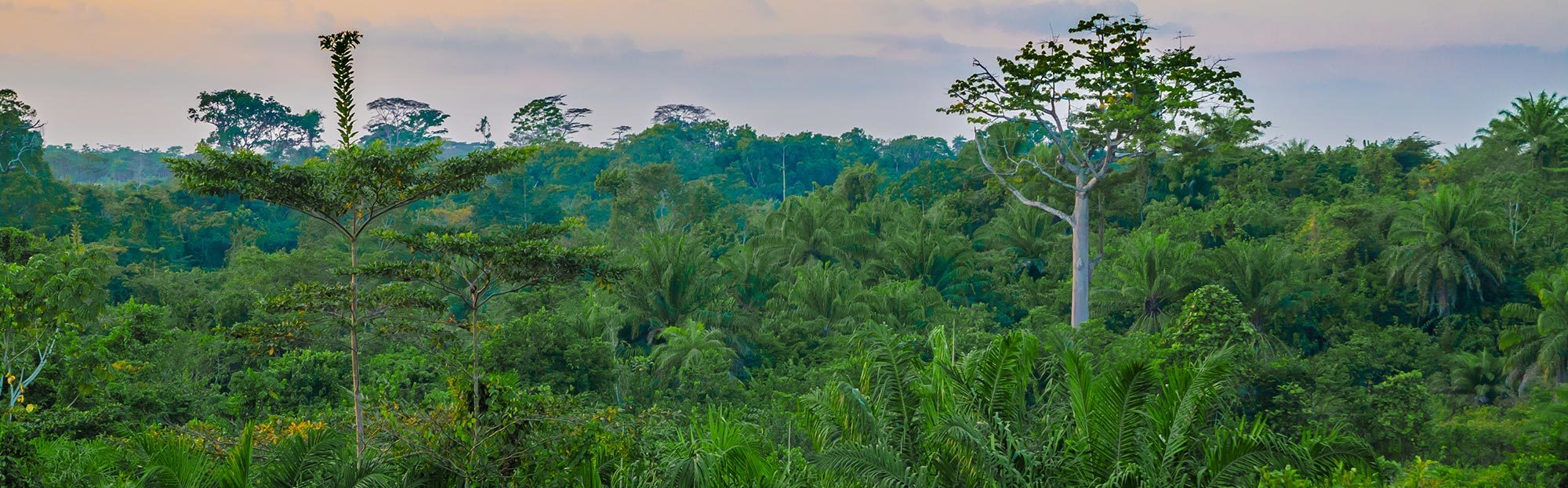 Liberia