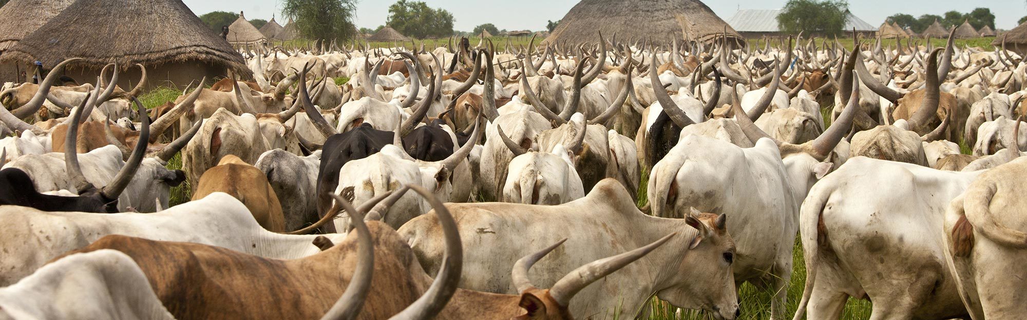 South Sudan