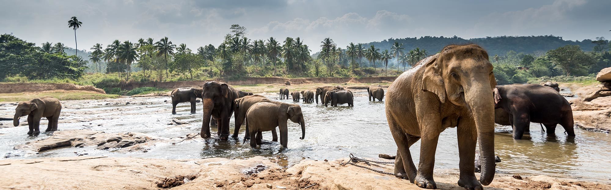 Sri Lanka